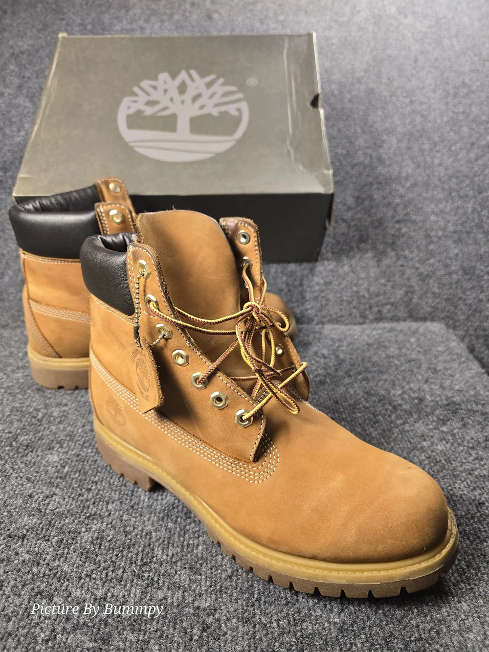Timberland 6-Inch Premium Waterproof Boots Wheat Men's 9 10061 With Box